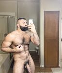 Persian Alpha Wolf Onlyfans pictures